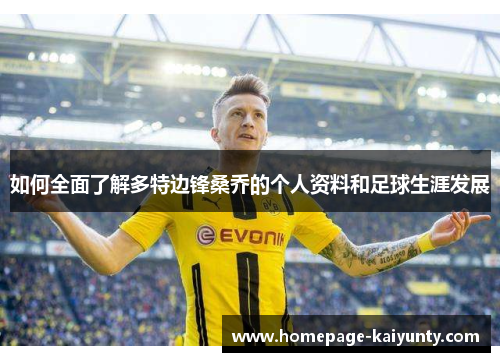 如何全面了解多特边锋桑乔的个人资料和足球生涯发展