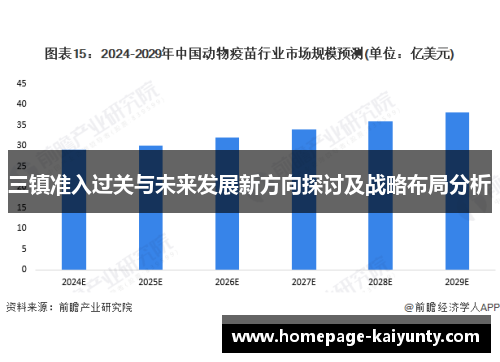 三镇准入过关与未来发展新方向探讨及战略布局分析