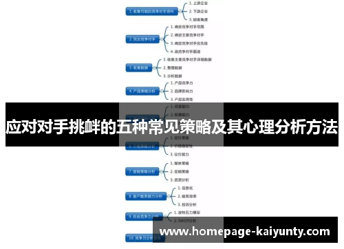 应对对手挑衅的五种常见策略及其心理分析方法