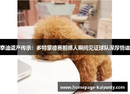 泰迪遗产传承：多特蒙德赛前感人瞬间见证球队深厚情谊