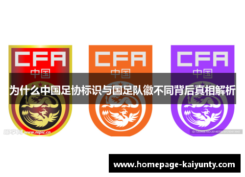 为什么中国足协标识与国足队徽不同背后真相解析