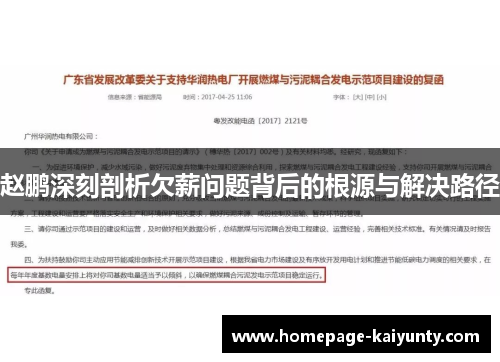 赵鹏深刻剖析欠薪问题背后的根源与解决路径