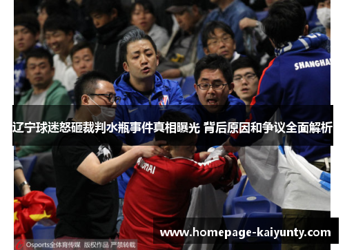 辽宁球迷怒砸裁判水瓶事件真相曝光 背后原因和争议全面解析